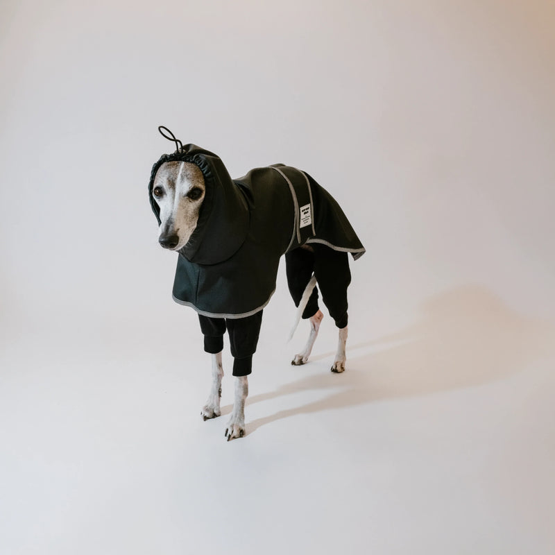 Sighthound Sets & Bundles