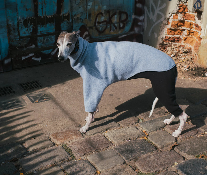 A whippet dog wearing a light blue wooly sweater and black cotton onesie underneath, standing on a cobblestone street in front of a graffiti-covered blue wall.