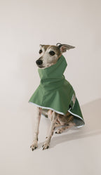 Sighthound Raincoat Puddle Club - Forest Drizzle