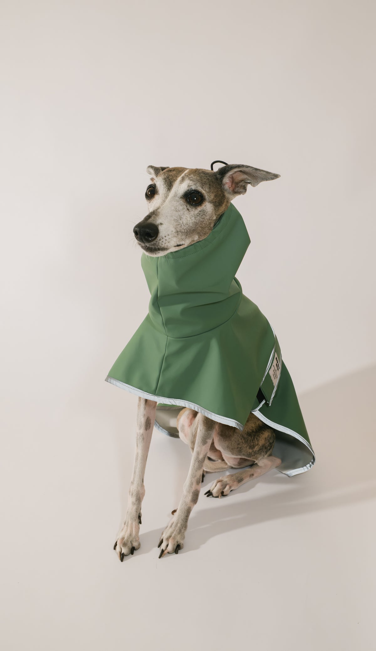 Sighthound Raincoat Puddle Club - Forest Drizzle