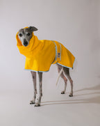 Sighthound Raincoat Puddle Club - Sunshine Splash