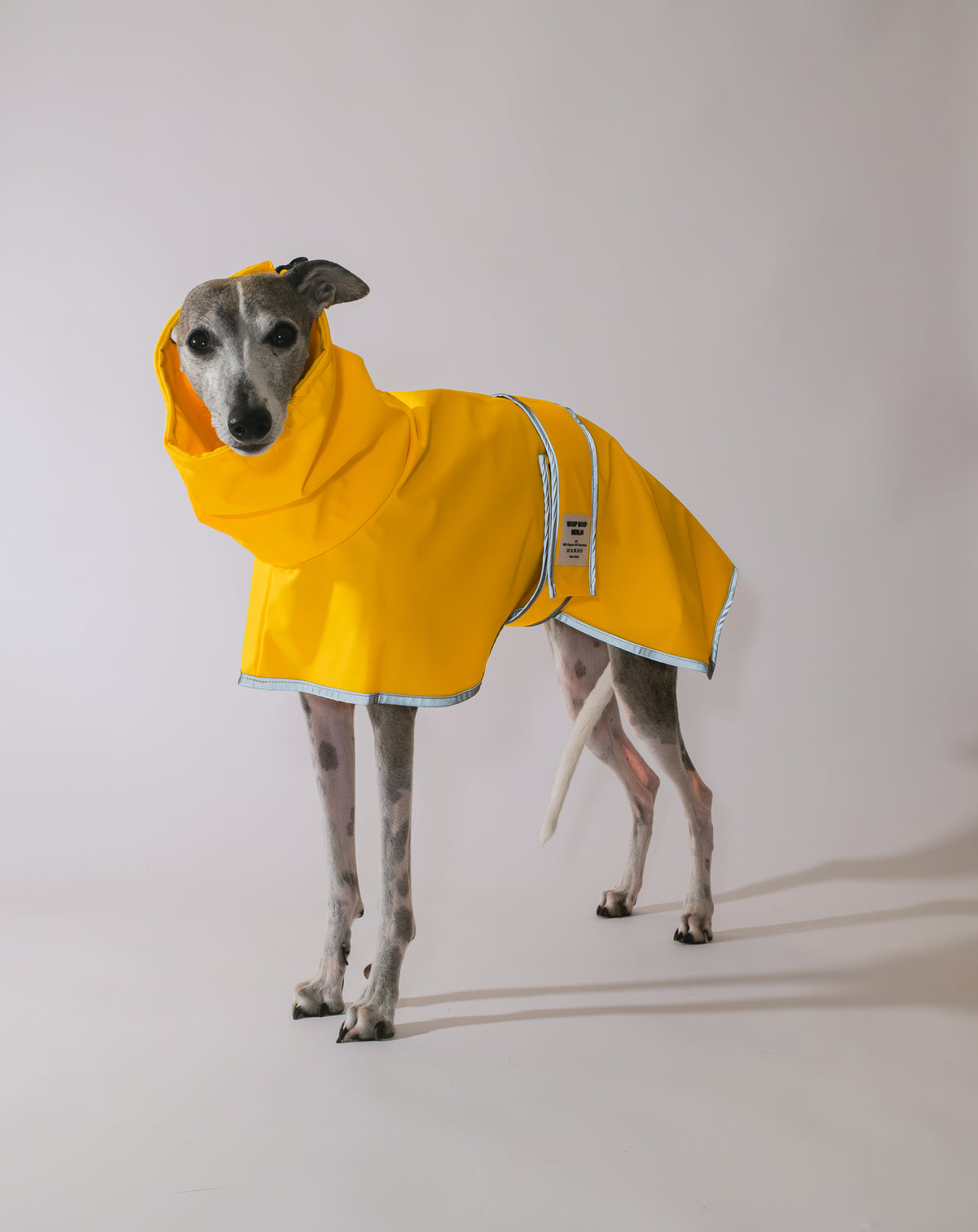 Sighthound Raincoat Puddle Club - Sunshine Splash