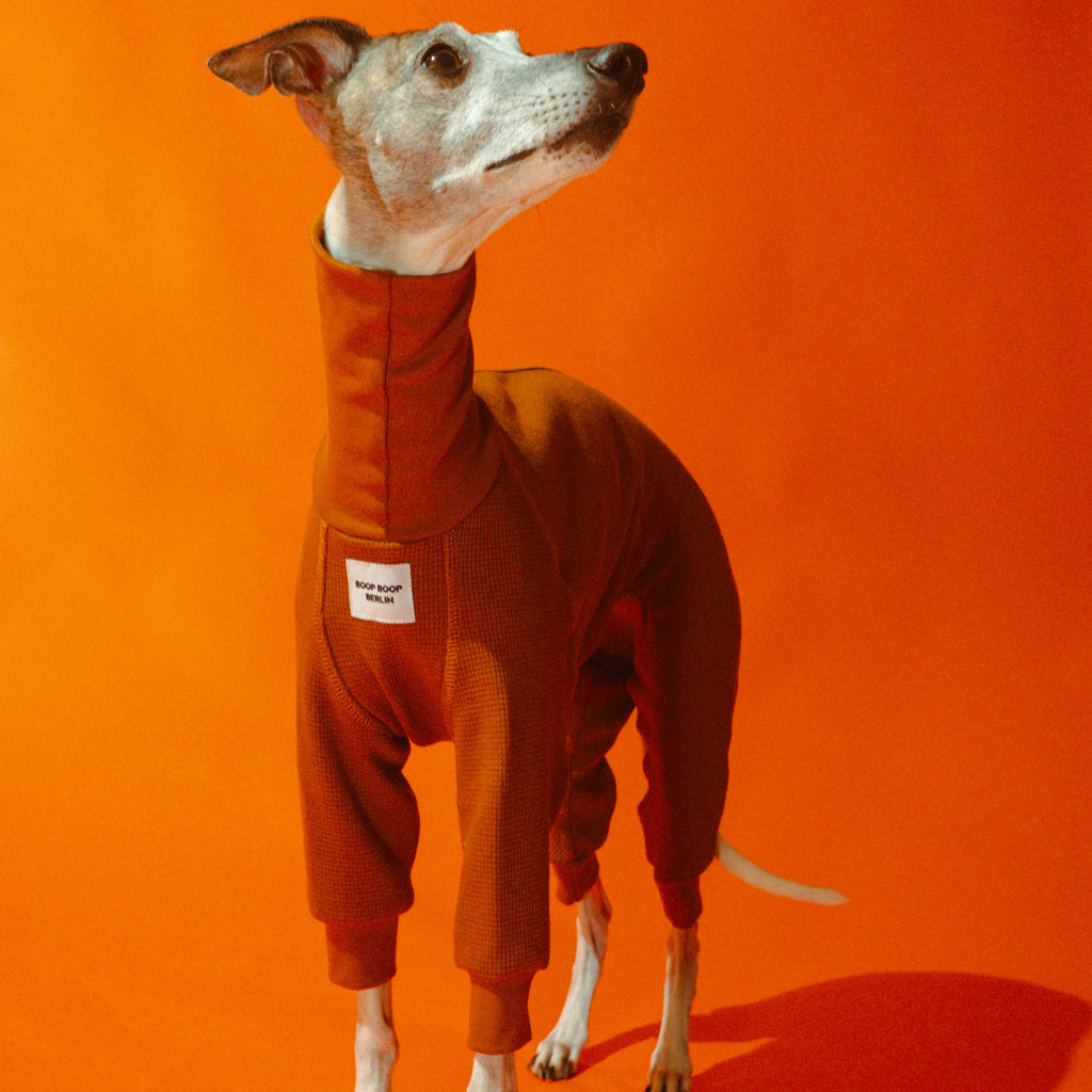 Whippet dog wearing a Winona onesie in Cinnamon Swirl color