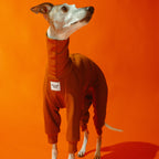 Whippet dog wearing a Winona onesie in Cinnamon Swirl color