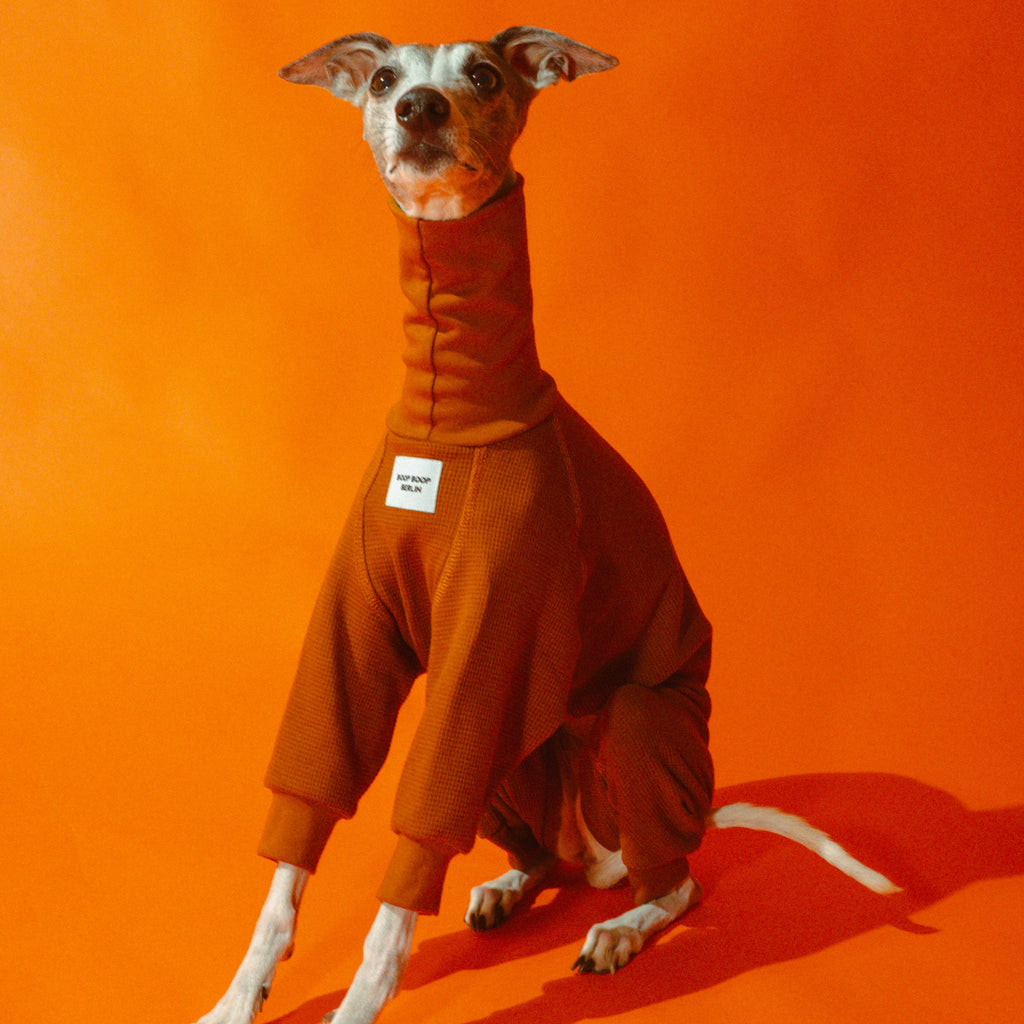 Whippet dog wearing a Winona onesie in Cinnamon Swirl color
