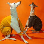 Whippet dogs wearing Winona onesies in Cookies and Cream color and Tutti Frutti color