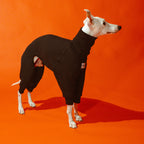 Whippet dog wearing the Winona onesie in Licorice color