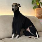 Whippet dog wearing the Winona onesie in Licorice color