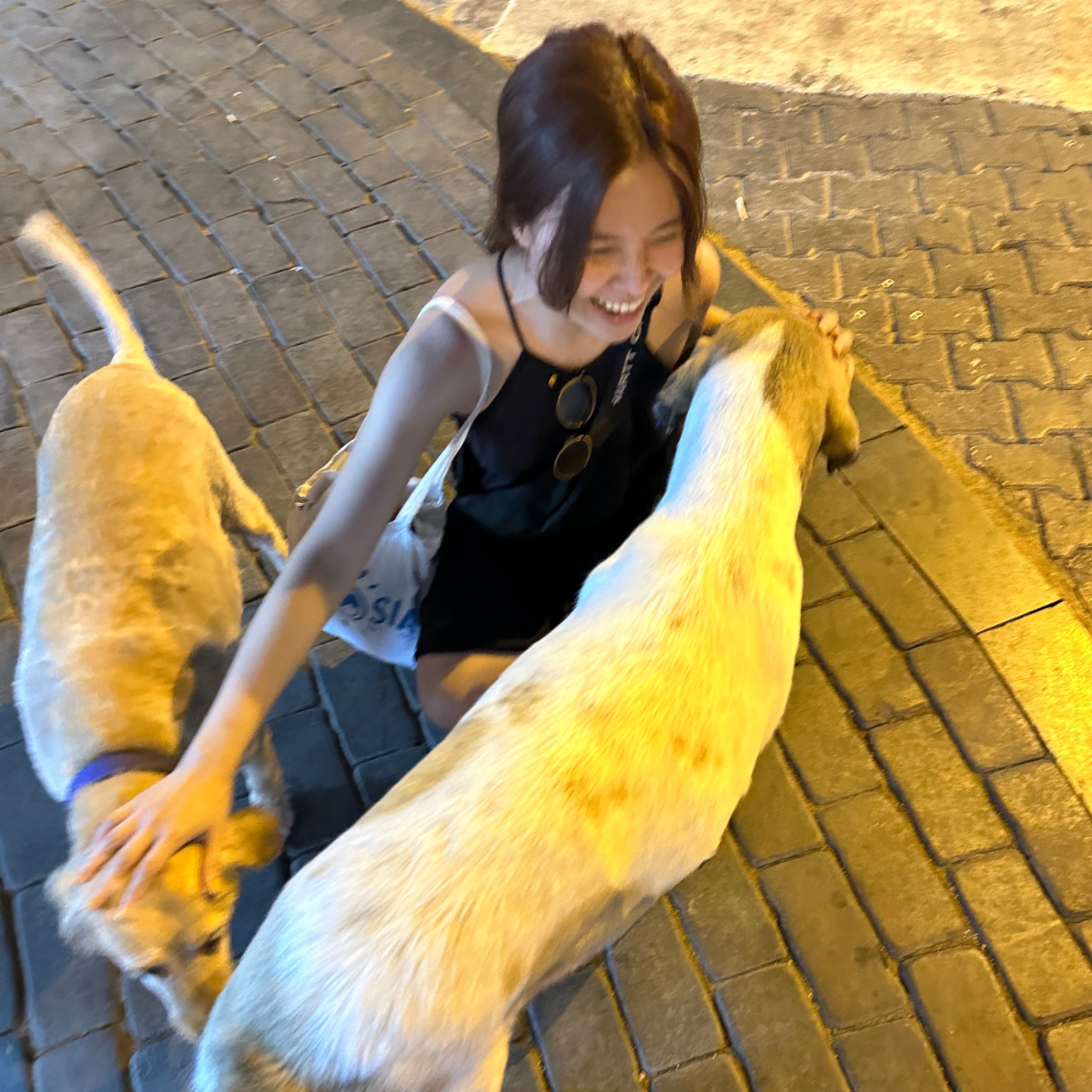 Quinn happily petting two dogs in Istanbul