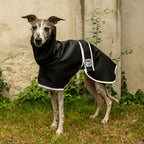 Boop Boop Berlin the Puddle Club whippet raincoat, black rain jacket, sighthound outter wear, brindle whippet looking straight, reflective