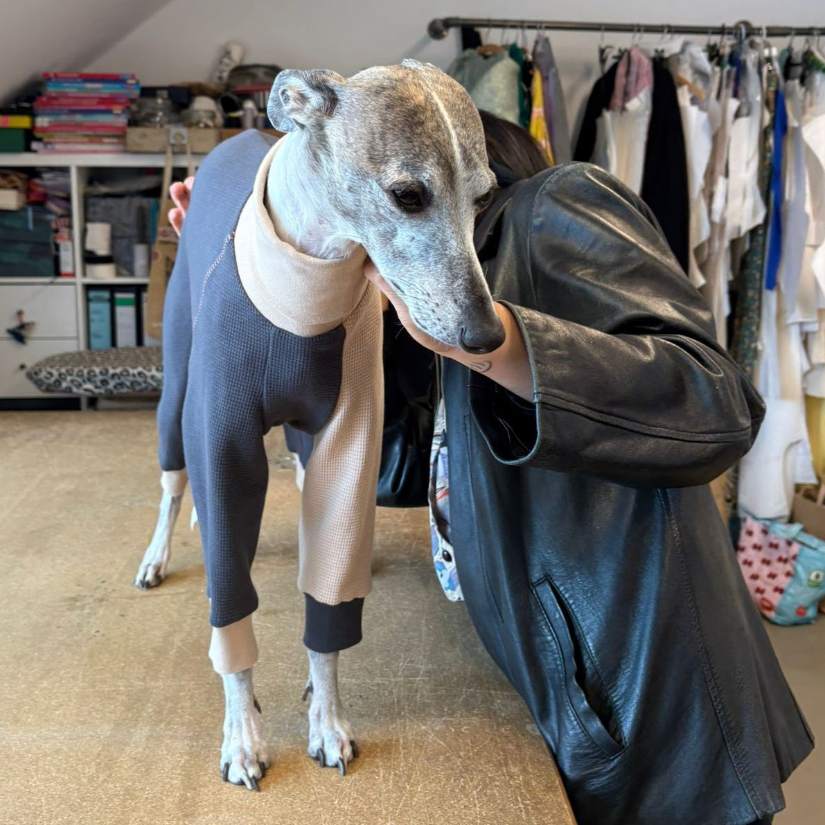 Boop Boop Berlin locally made whippet and sighthound clothing studio