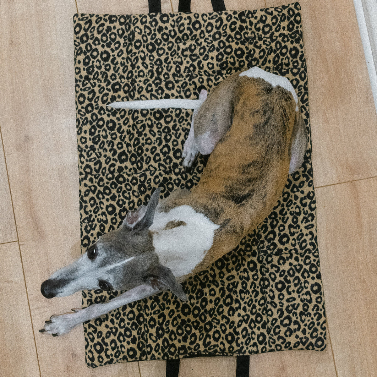 A medium sized whippet dog lies on a leopard-print fabric mat with black handles, placed on a light wood floor.