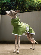 A whippet dog wearing an olive green raincoat with reflective grey trim and velcro strap, standing with green foliage in the background