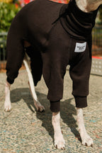 Close-up details of a dog wearing a techno black ribbed knit full-body sweater with a high neck and a small white 'Boop Boop Berlin' brand label
