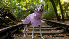 A whippet dog stands in a park, wearing a lavender-purple hooded waterproof raincoat