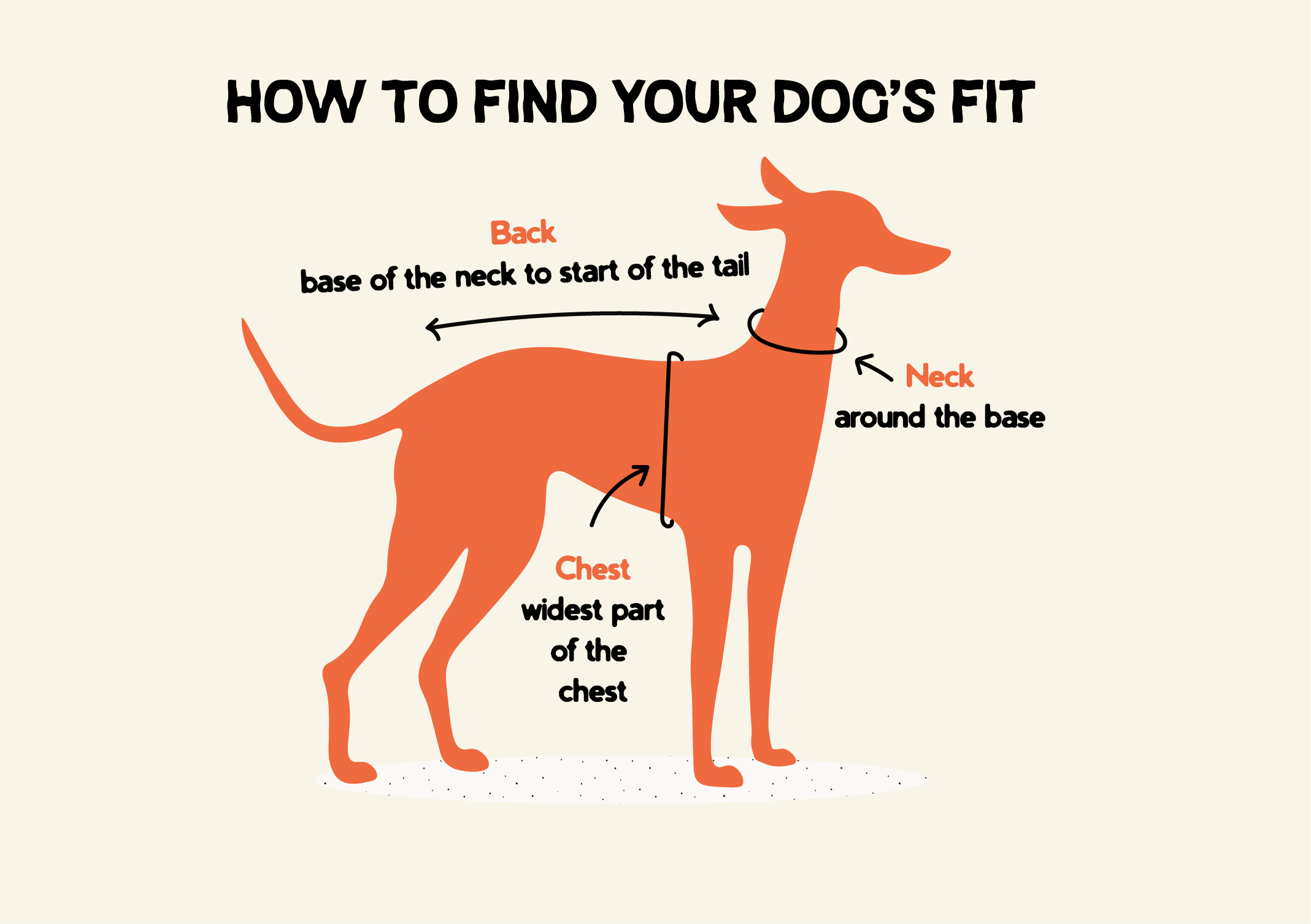 Boop Boop Berlin measuring guide and instructions for sizes