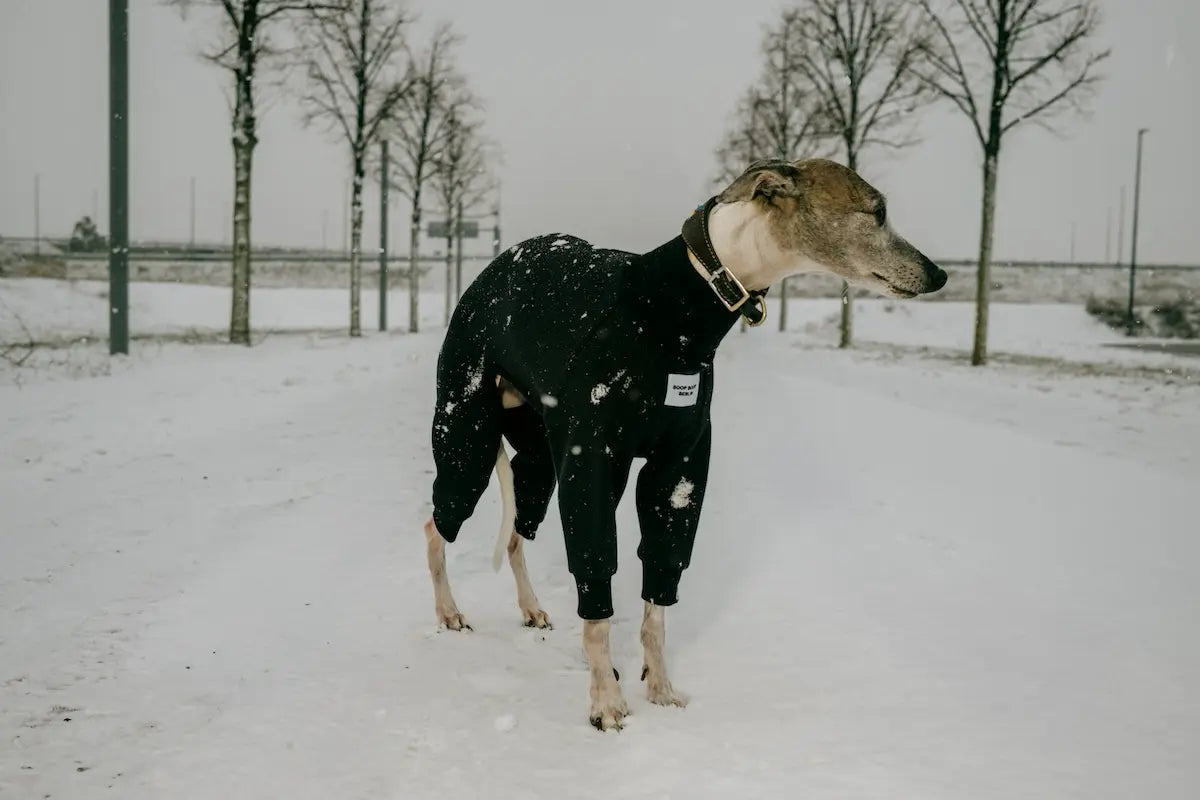 Berlin Weather Set - Raincoat in Midnight Showers & Onesie in Licorice