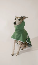A whippet dog wearing a green hooded raincoat, sitting against a plain light beige studio background.