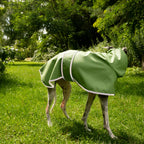 Boop Boop Berlin the Puddle Club sighthound raincoat, green rain jacket, italian greyhound outer wear, brindle whippet looking away, reflective
