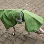Boop Boop Berlin the Puddle Club whippet raincoat, matcha rain jacket, sighthound outer wear, brindle whippet side, reflective