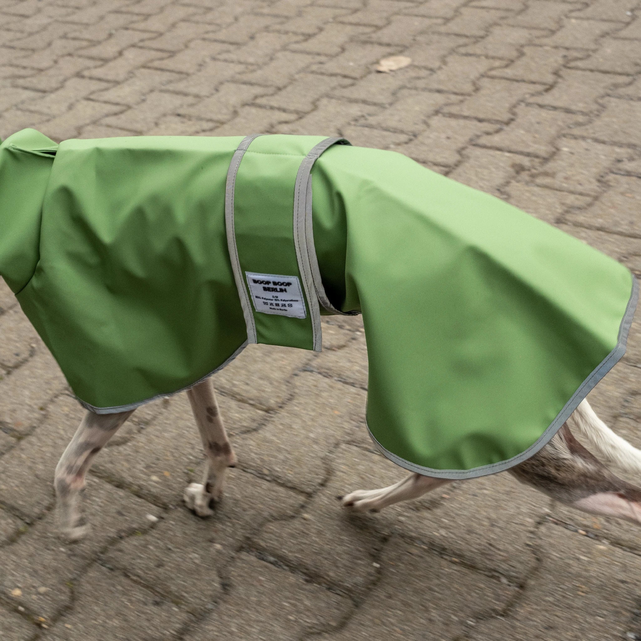 Boop Boop Berlin the Puddle Club whippet raincoat, matcha rain jacket, sighthound outer wear, brindle whippet side, reflective