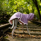 Boop Boop Berlin the Puddle Club whippet raincoat, lavendar rain jacket, sighthound outer wear, brindle whippet back, reflective