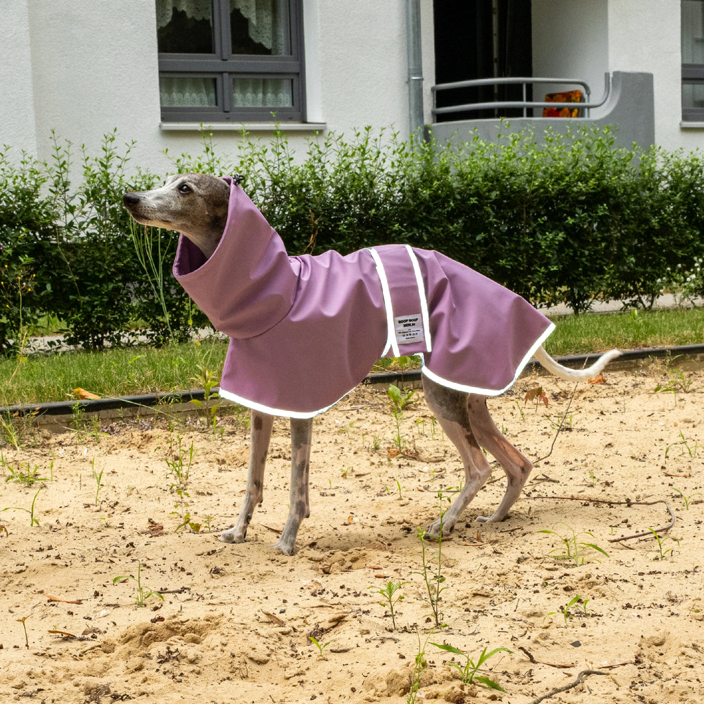 Boop Boop Berlin the Puddle Club whippet raincoat, violet rain jacket, italian greyhound outter wear, brindle whippet side, reflective