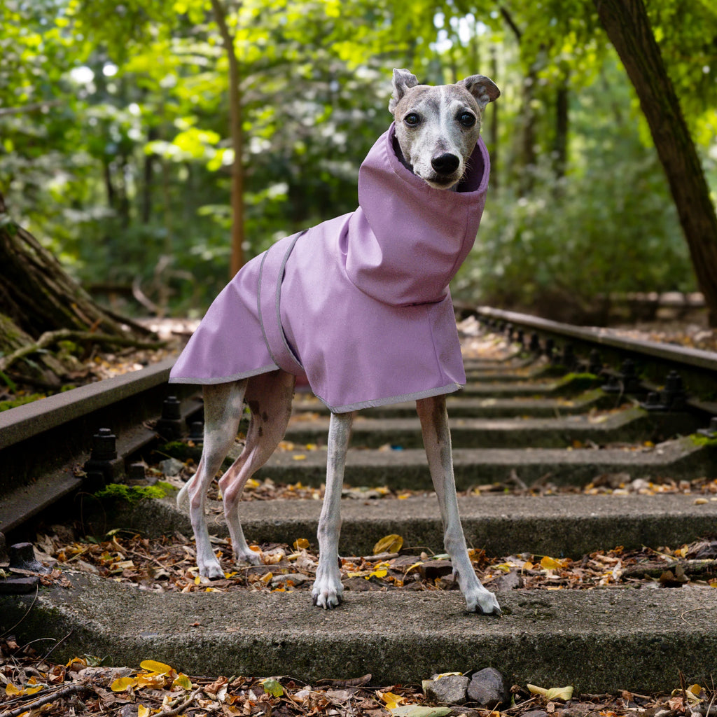 Boop Boop Berlin the Puddle Club whippet raincoat, mauve rain jacket, sighthound outer wear, brindle whippet standing, reflective
