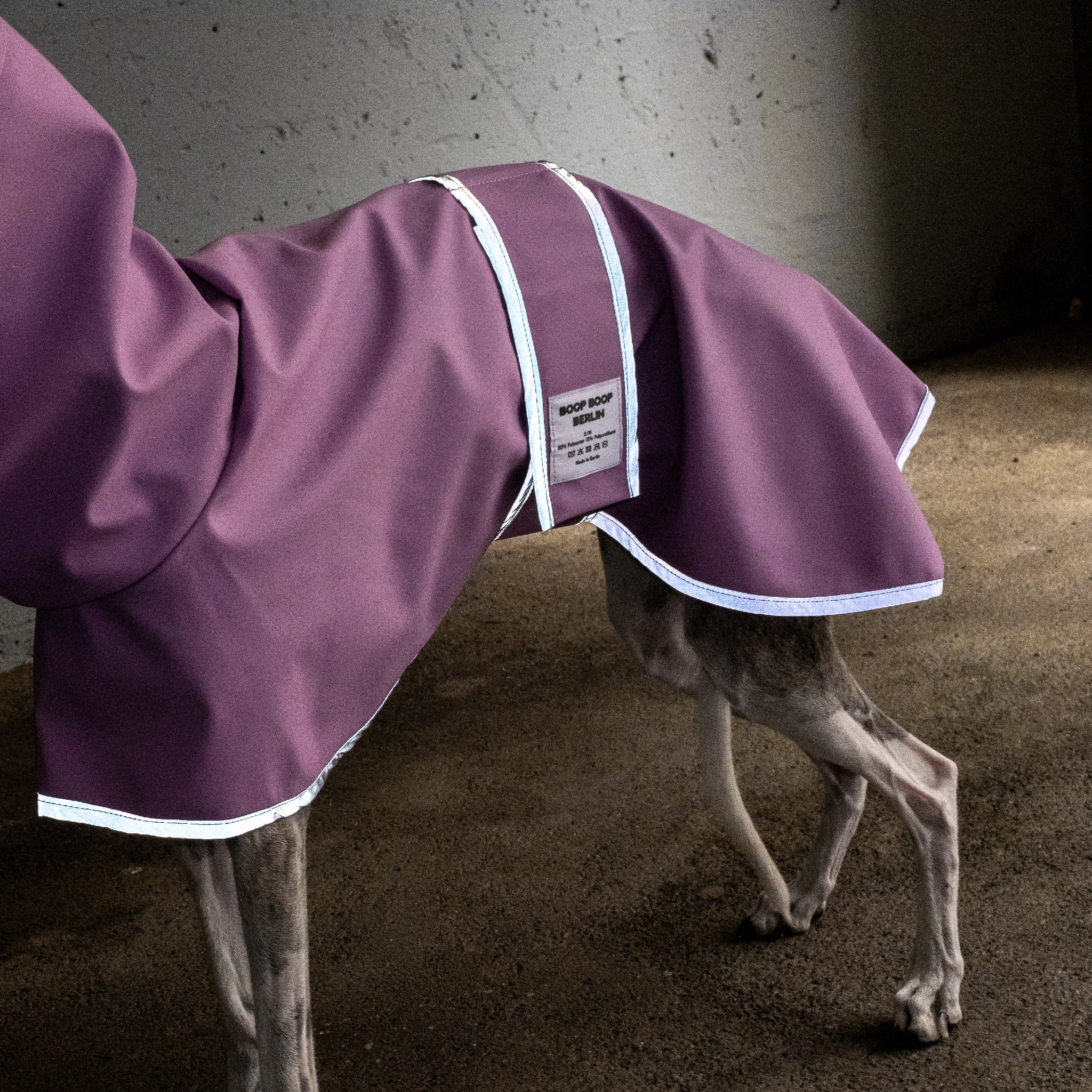Boop Boop Berlin the Puddle Club whippet raincoat, baby purple rain jacket, sighthound outter wear, brindle whippet side, reflective
