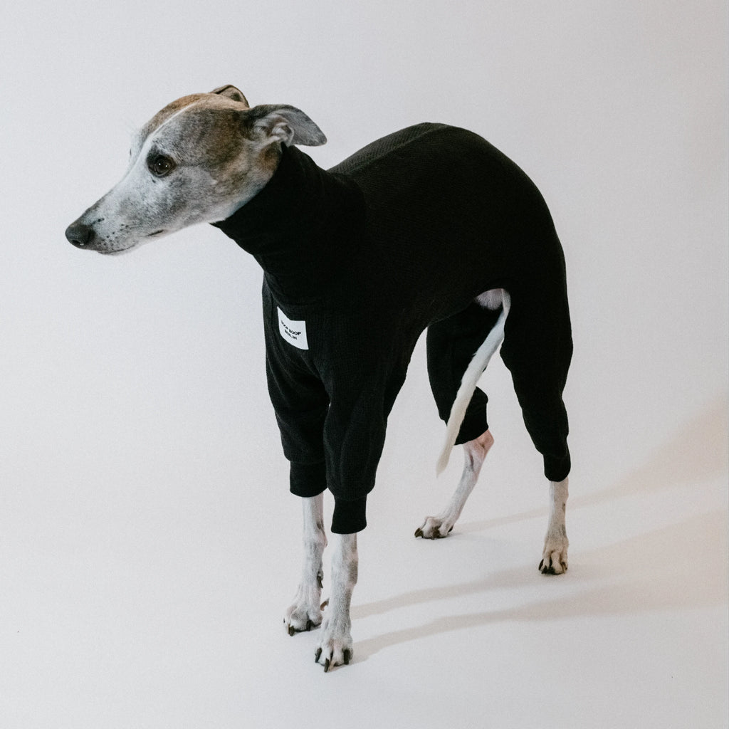 Berlin Weather Set - Raincoat in Midnight Showers & Onesie in Licorice