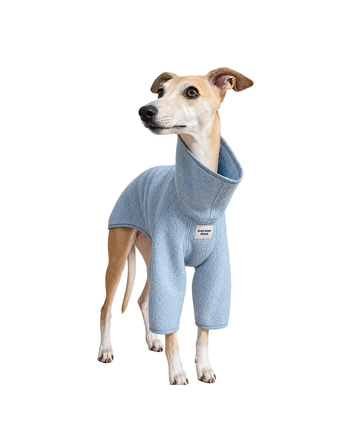 A light blue wool dog coat with a high neck, modeled by a whippet on a solid white background